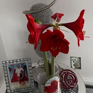 Meet your Posher, Larice